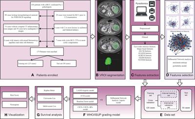 An exploratory study of CT radiomics using differential network feature selection for WHO/ISUP grading and progression-free survival prediction of clear cell renal cell carcinoma